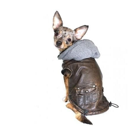 Vintage Bomber Dog Jacket