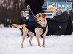 Waterproof North Country Dog Coat with LED Safety Light