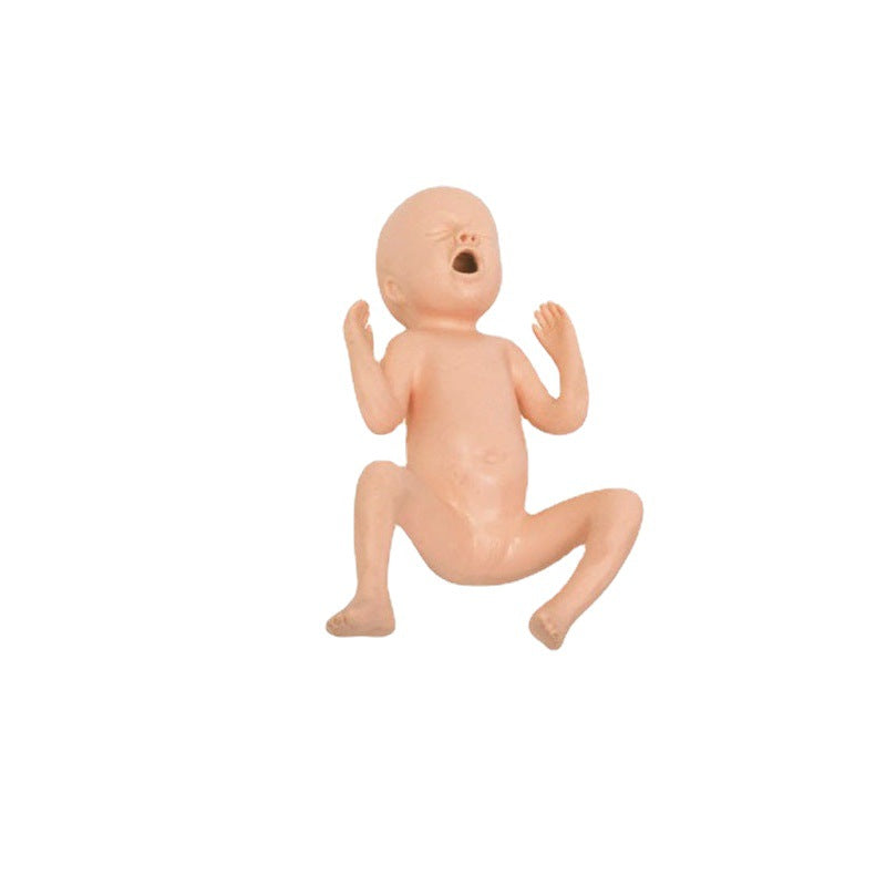 Infant Care Training Model [Baby Care] | Nurse Practice Tool