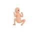 Infant Care Training Model [Baby Care] | Nurse Practice Tool