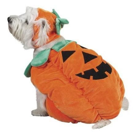 Pumpkin Costume by Zack & Zoey