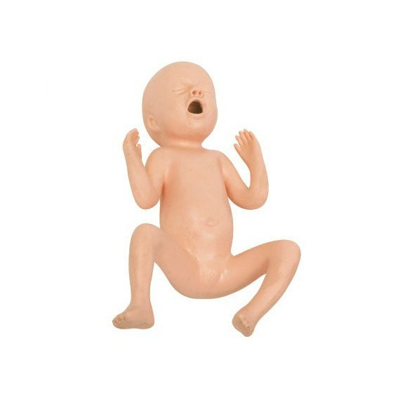Infant Care Training Model [Baby Care] | Nurse Practice Tool