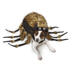 Zack & Zoey Tarantula Dog Costume
